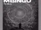 Black Ninjah – Walau Mngekuwepo
